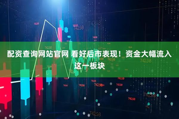 配资查询网站官网 看好后市表现!资金大幅流入这一板块