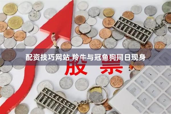 配资技巧网站 羚牛与冠鱼狗同日现身